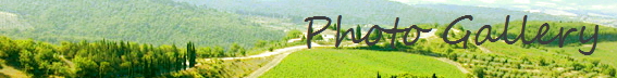 Photo Gallery